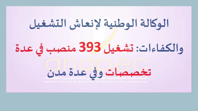 alwadifa: الوكالة الوطنية لإنعاش التشغيل والكفاءات: تشغيل 393 منصب في القطاع الخاص