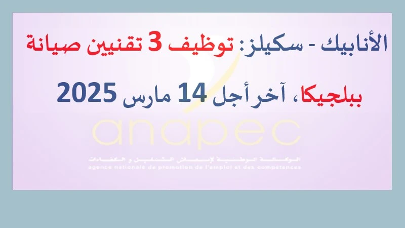 توظيف 3 تقنيين صيانة ببلجيكا